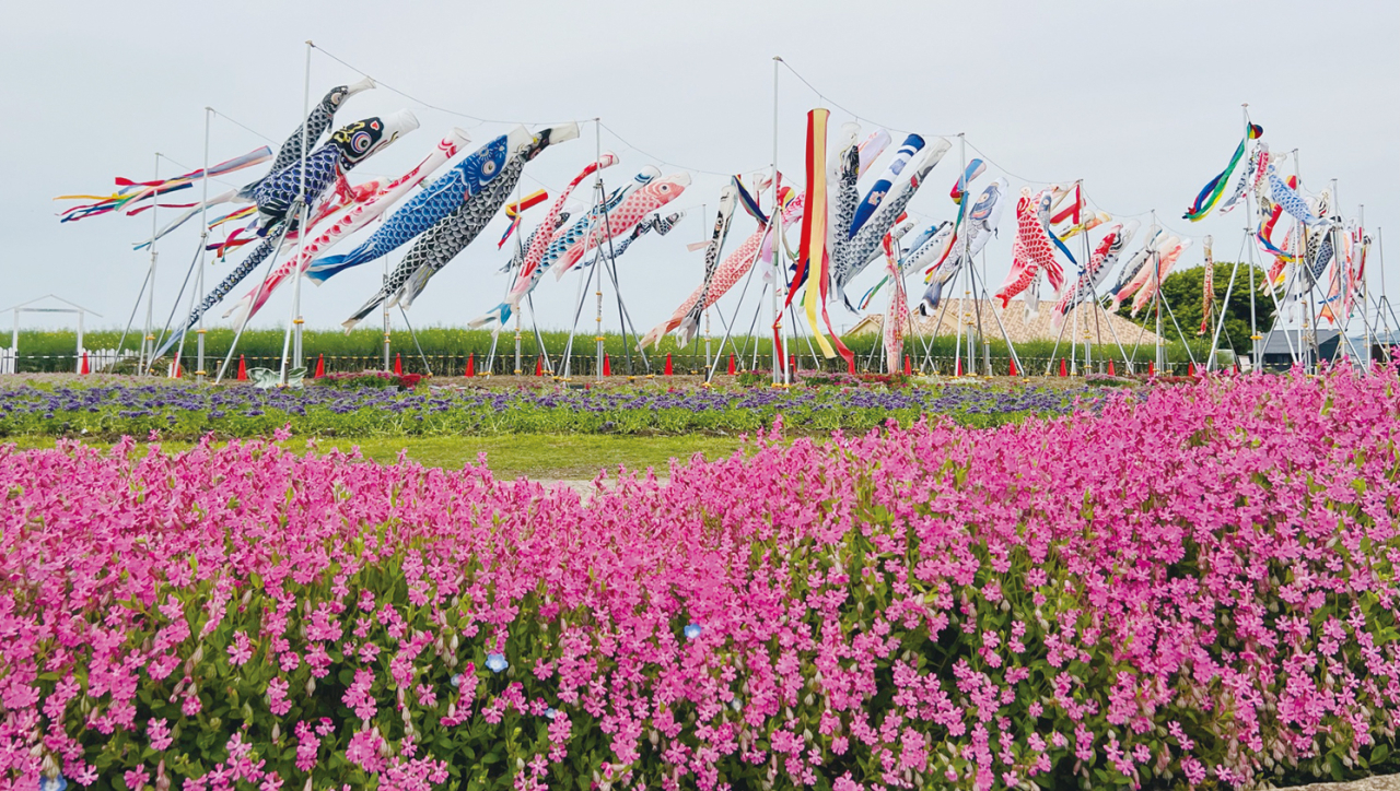 ５月26日㈰まで、長井海の手公園 ソレイユの丘でカラフルな鯉のぼりと花の共演（2024年5月10日号横須賀・三浦・湘南版）