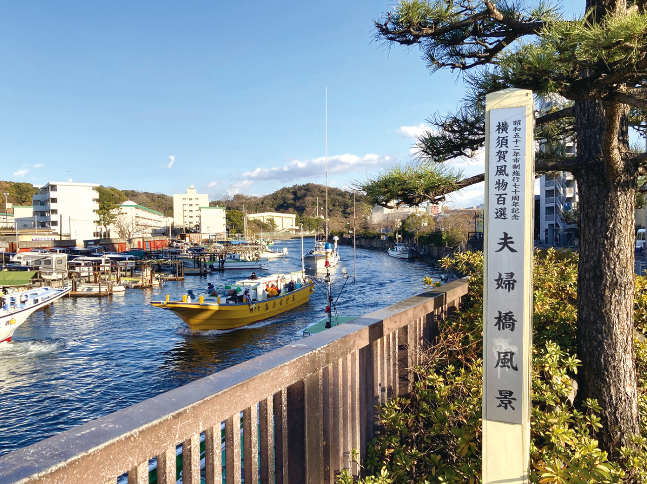 1月27日は「求婚の日」(横須賀・三浦・湘南版)