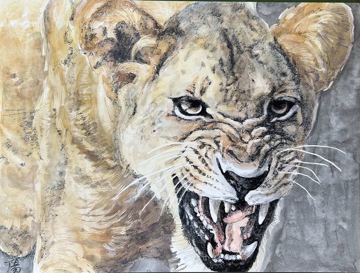 平和への願いを込め「動物の眼差しを主題に」（2026年1月9日号横須賀・三浦・湘南版）