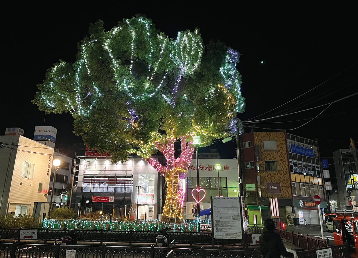 クスノキがきらめく京急北久里浜駅前 （2023年12月1日号横須賀・三浦・湘南版）