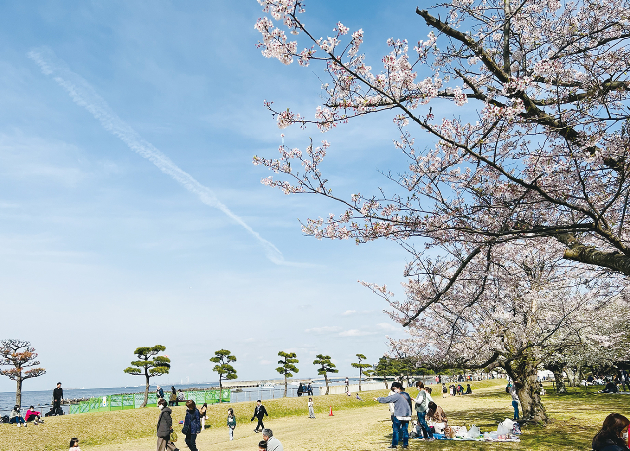 東京湾を一望！走水水源地公園（2023年3月3日号横須賀・三浦・湘南版）