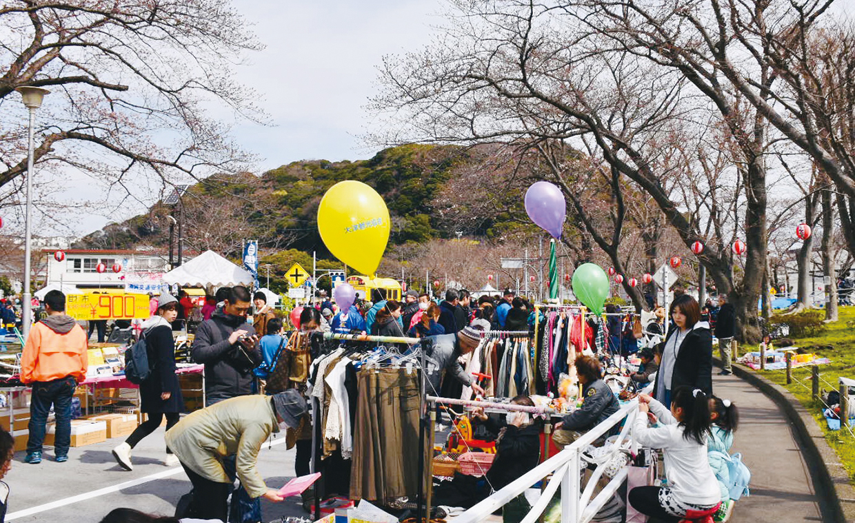 4年ぶり！  北久里浜桜まつり開催（2023年3月10日号横須賀・三浦・湘南版）