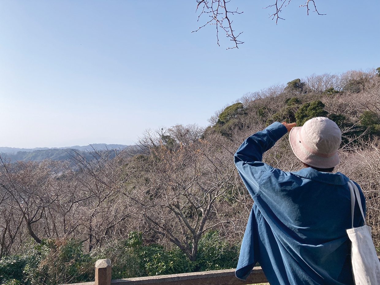 久木大池公園から お猿畠の大切岸へ(2023年3月24日号横須賀・三浦・湘南版)
