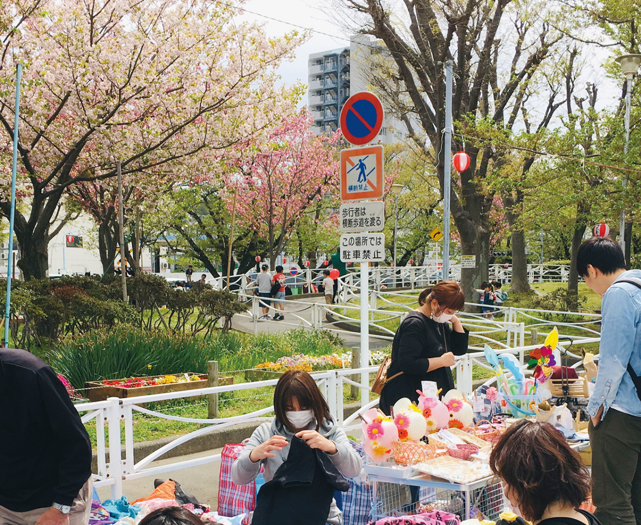 3月23日(土)開催「第26回北久里浜桜まつり」（2024年3月15日号横須賀・三浦・湘南版）

