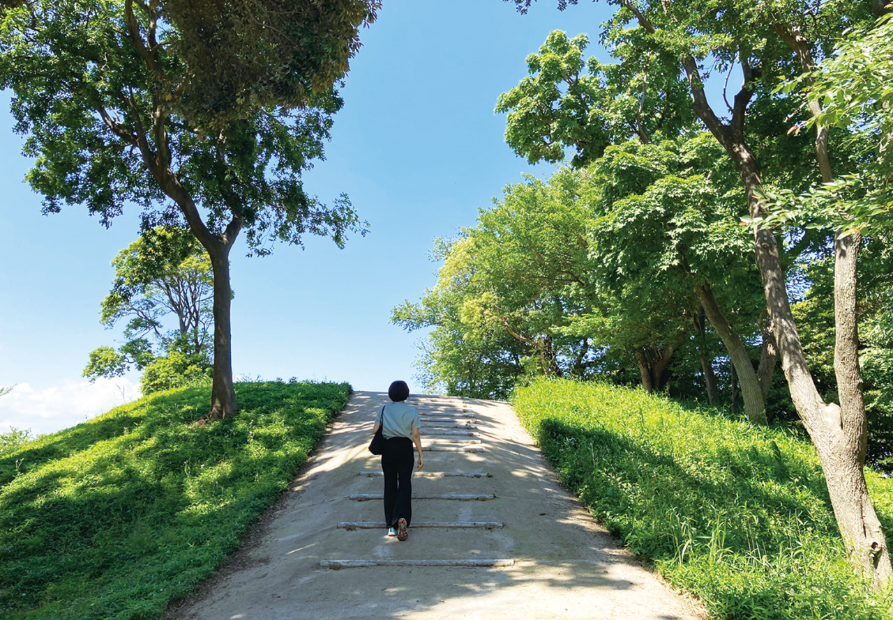 【みうらんワールド】長柄桜山古墳群へ（2024年6月21日号横須賀・三浦・湘南版）