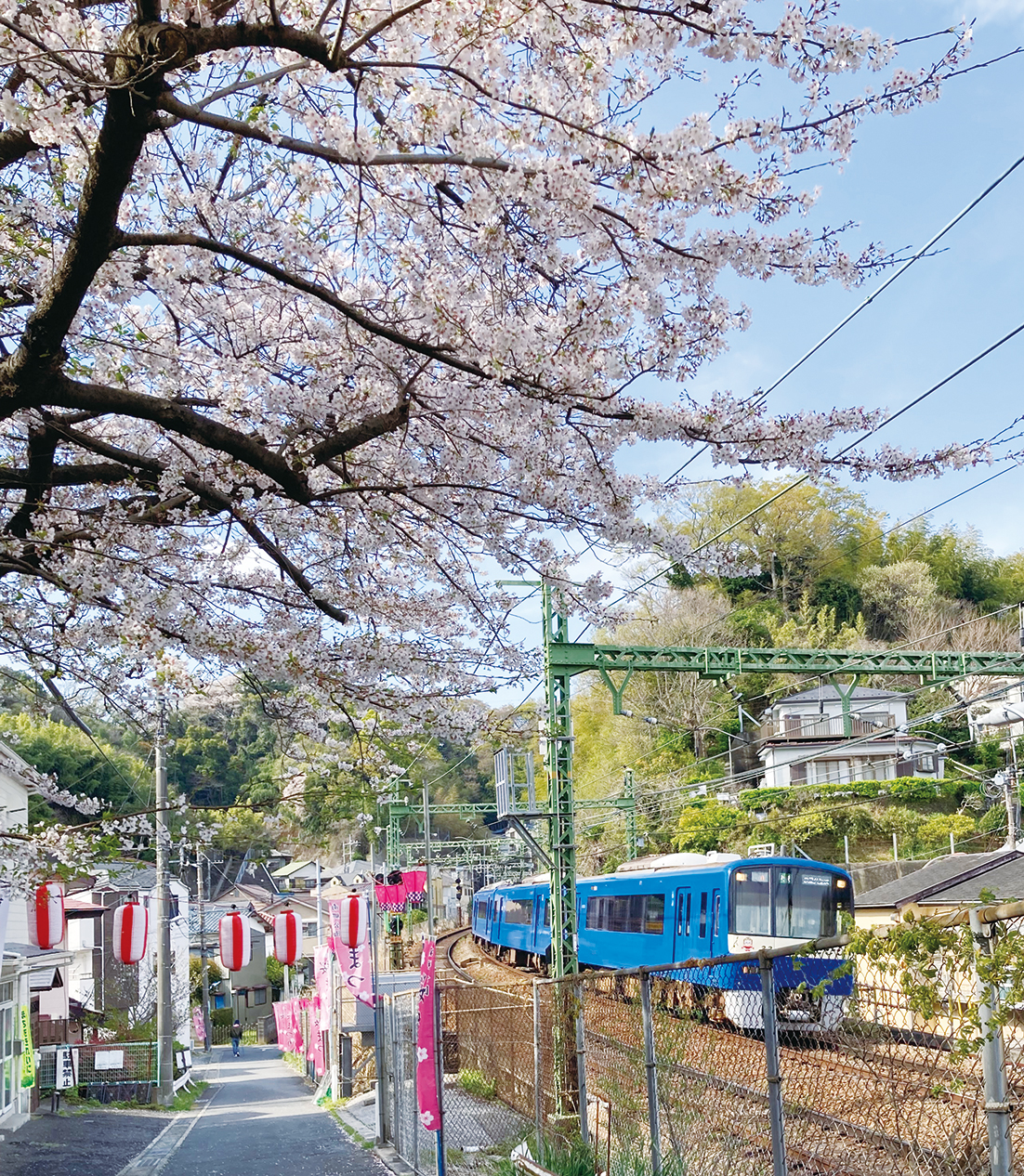桜と電車のコラボが楽しい「船越南郷公園」（2025年3月7日号横須賀・三浦・湘南版）
