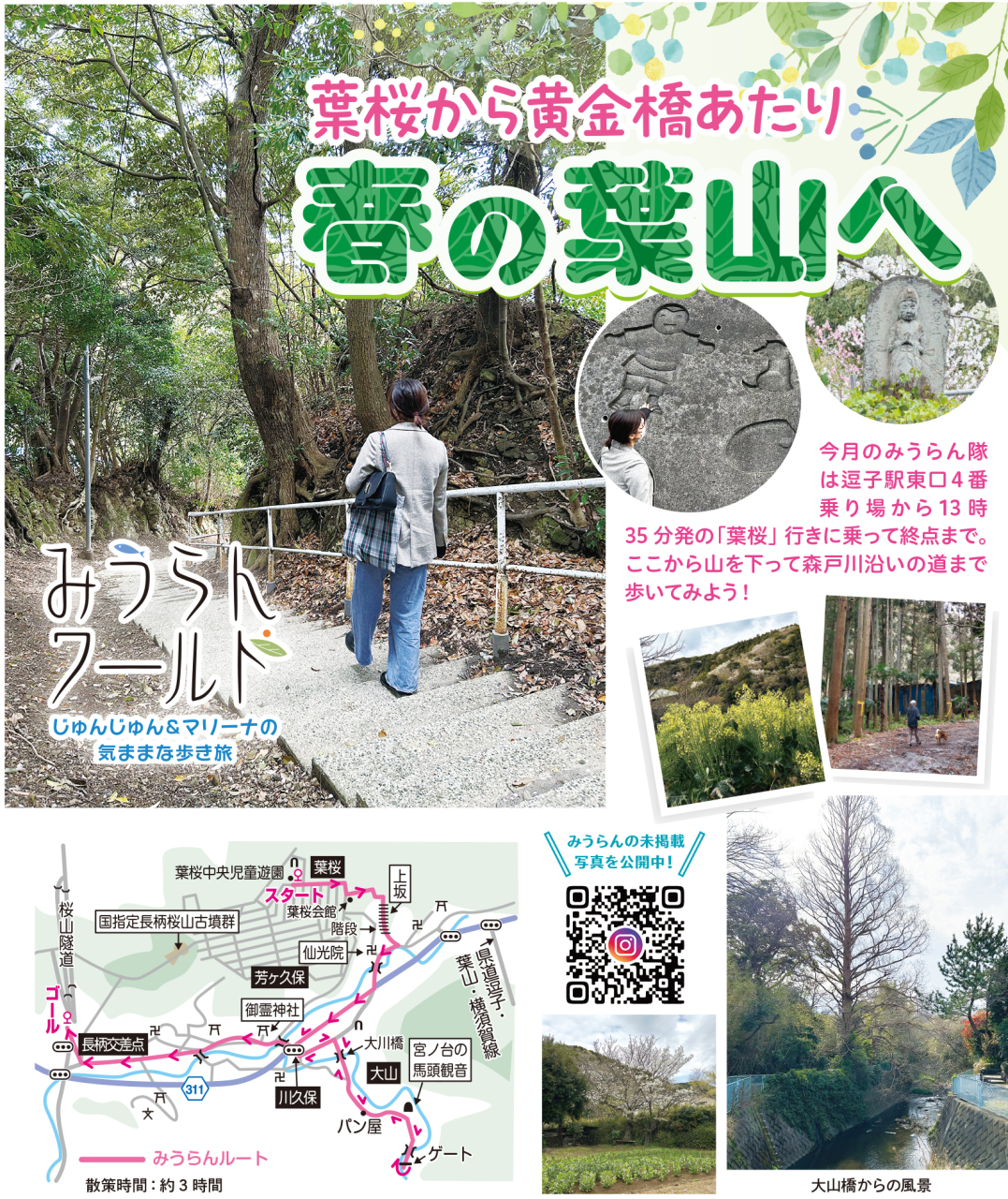 【みうらんワールド】葉桜から黄金橋あたり！春の葉山へ（2025年4月18日号横須賀・三浦・湘南版）