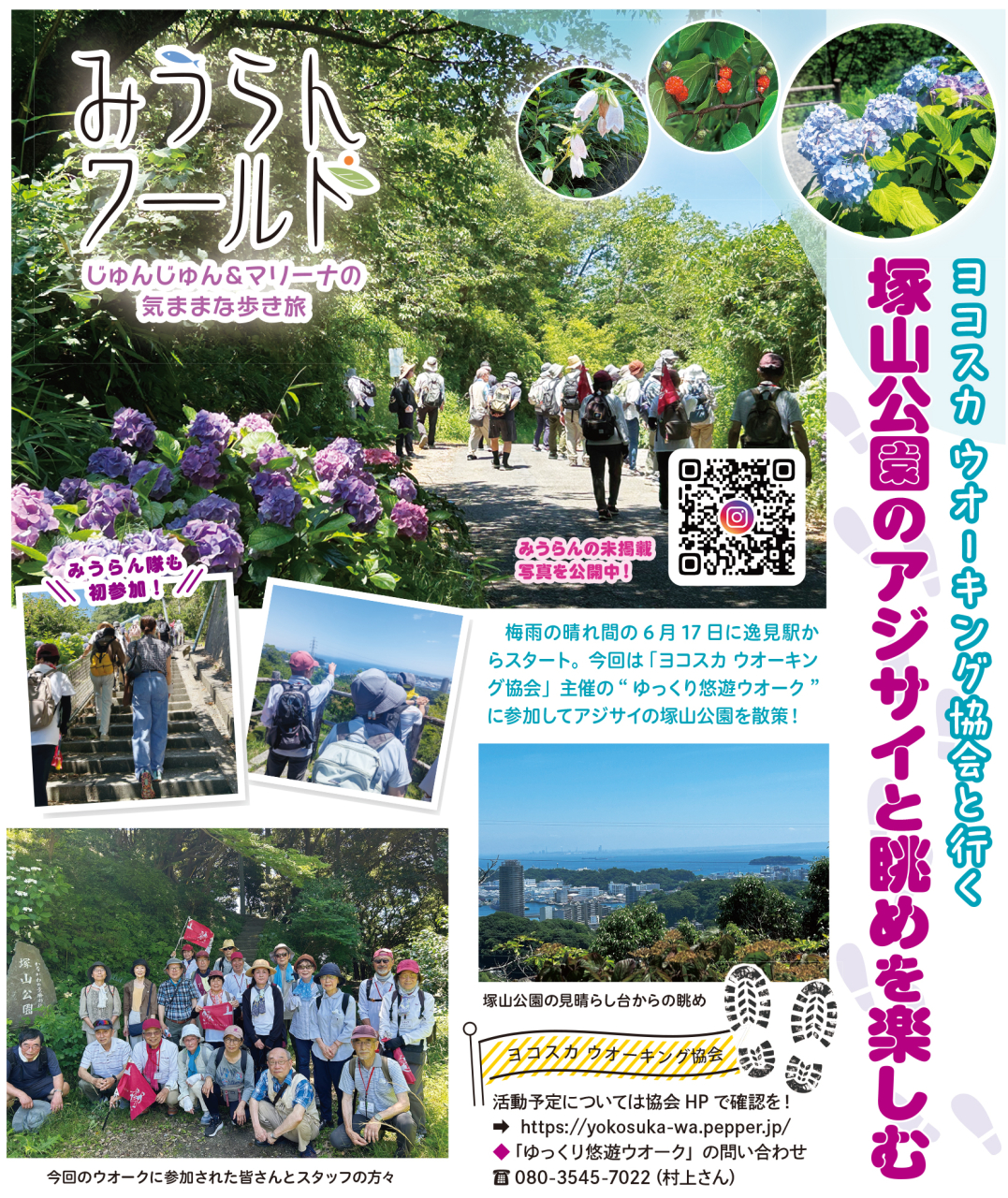 【みうらんワールド】ヨコスカ ウオーキング協会と塚山公園のアジサイと眺めを楽しむ（2025年7月18日号横須賀・三浦・湘南版）