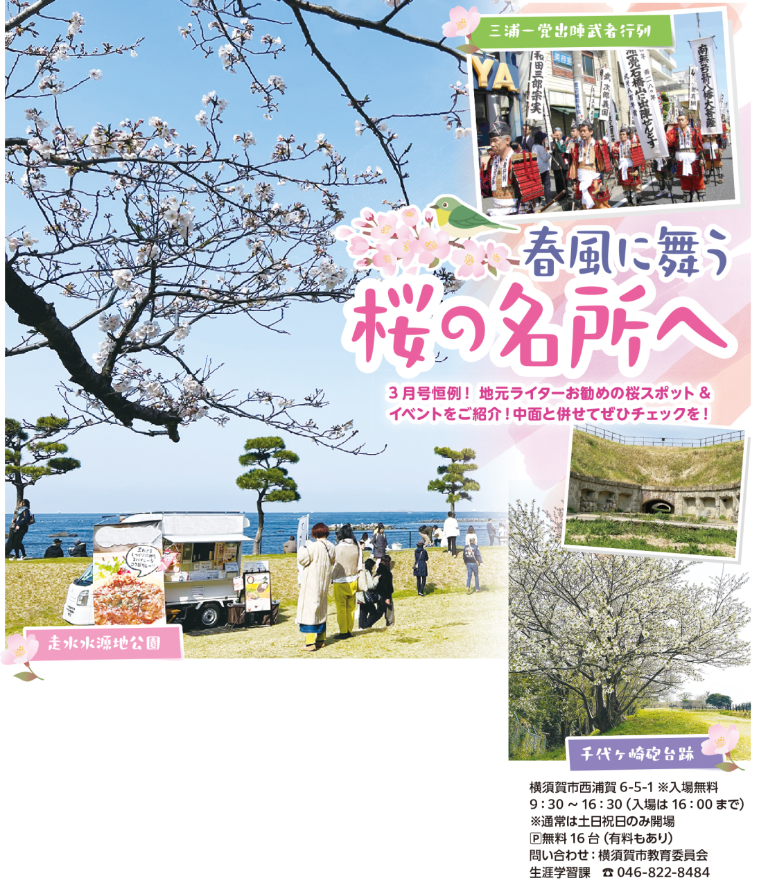 春風に舞う桜の名所へ（2026年3月6日号横須賀・三浦・湘南版）