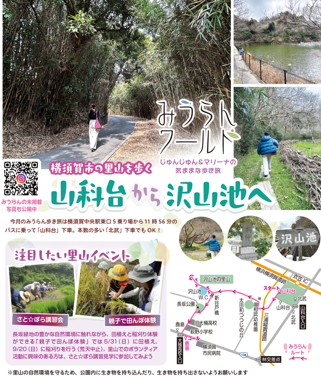 【みうらんワールド】横須賀市の里山を歩く〜山科台から沢山池へ（2026年3月20日号横須賀・三浦・湘南版）