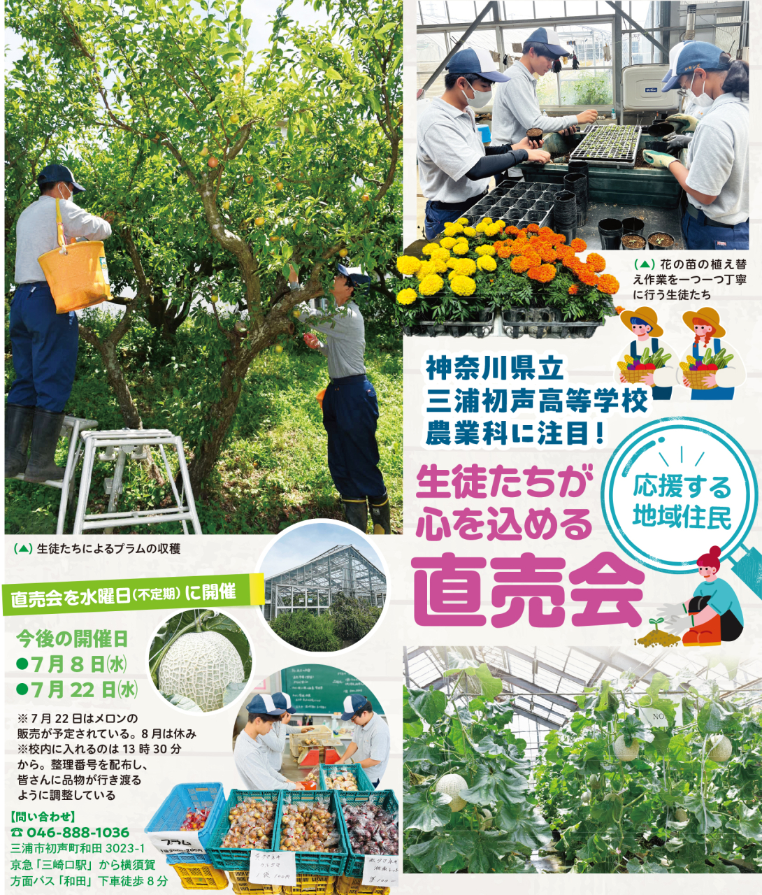 神奈川県立三浦初声高等学校農業科に注目！（2026年7月3日号横須賀・三浦・湘南版）
