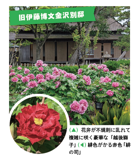 スクリーンショット 2026-04-07 10.35.10