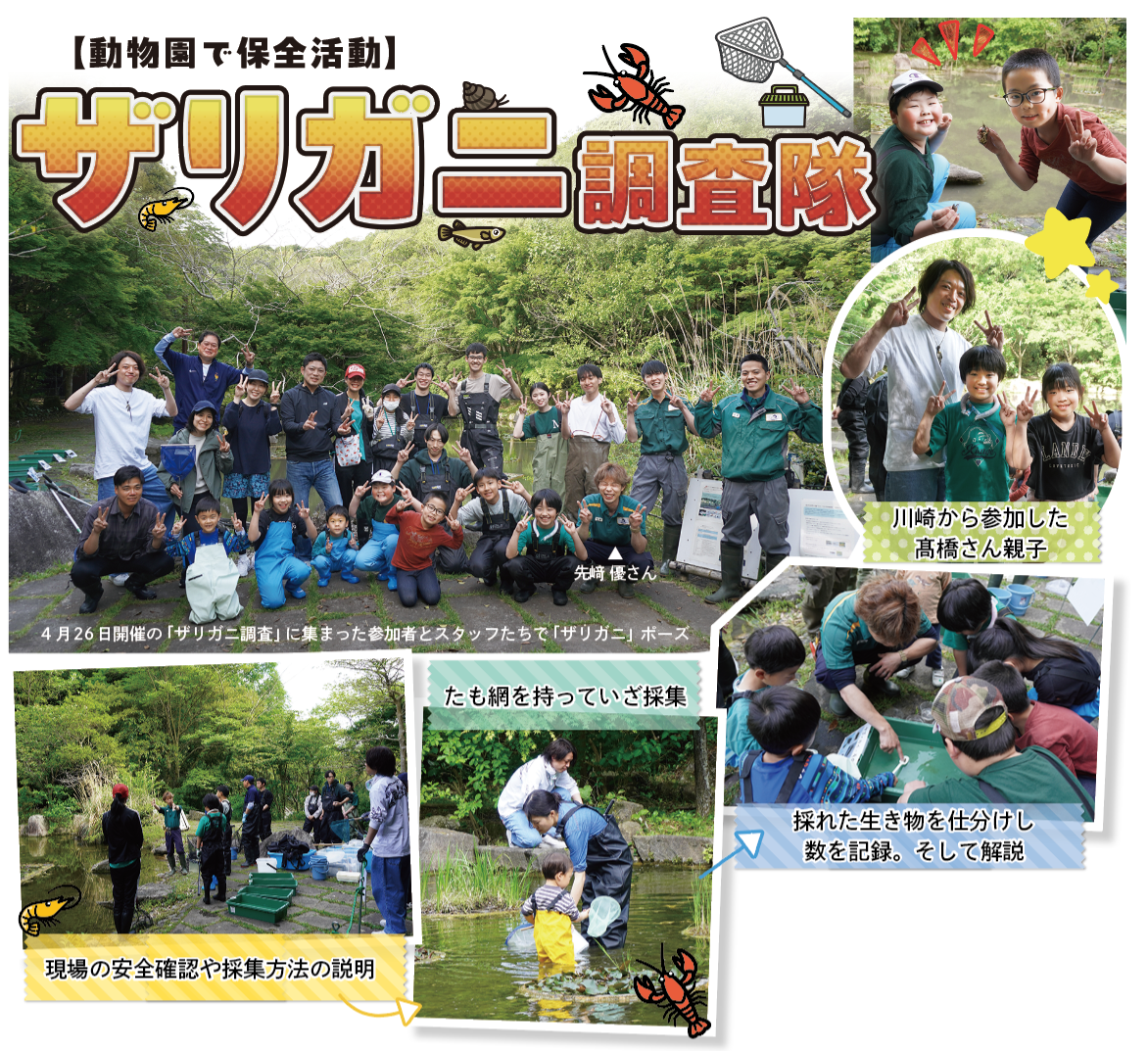 【動物園で保全活動】ザリガニ調査隊（2026年5月号金沢版）