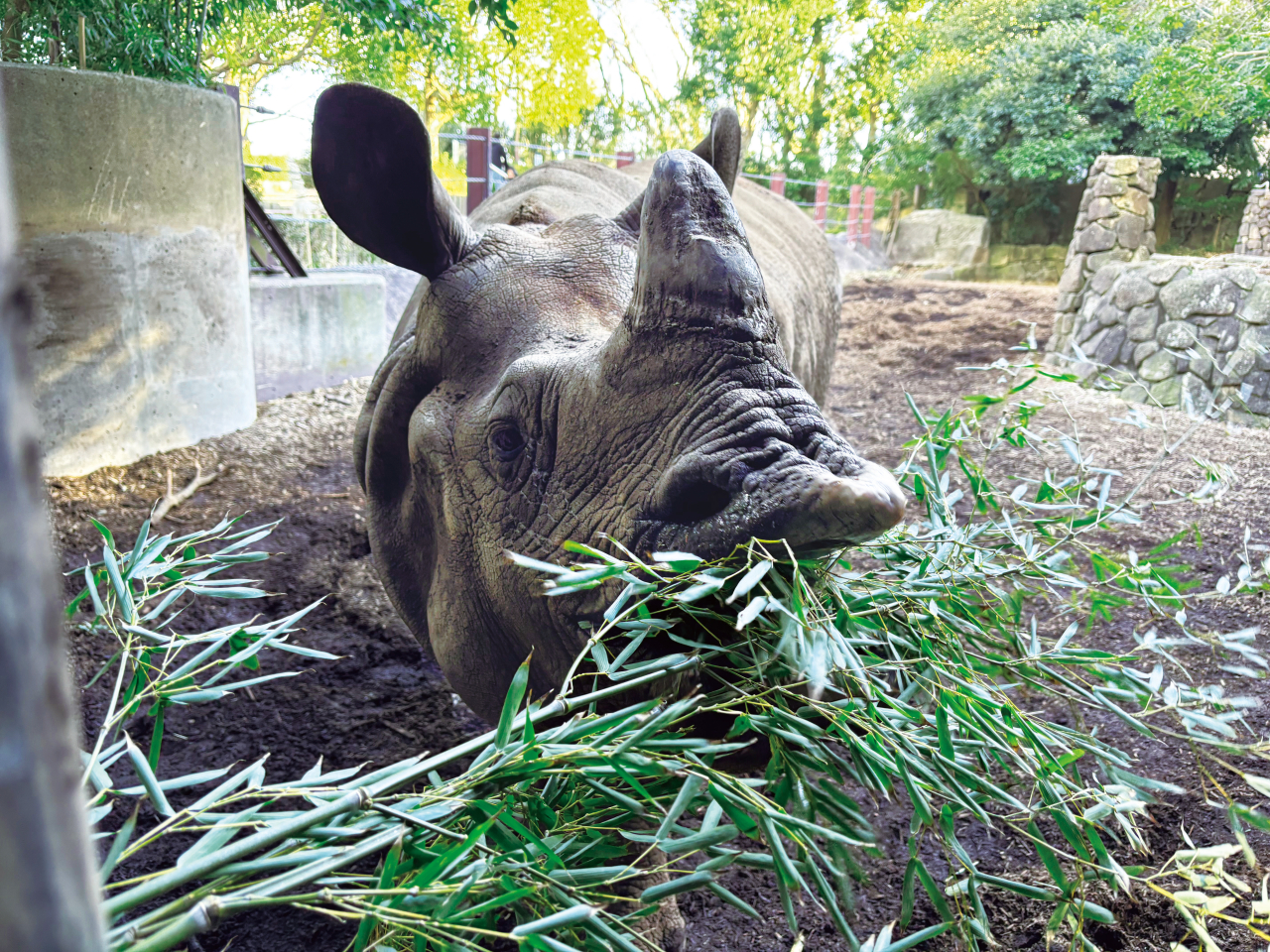 ３つの動物園を思い切り楽しもう（2024年4月12日号金沢版）