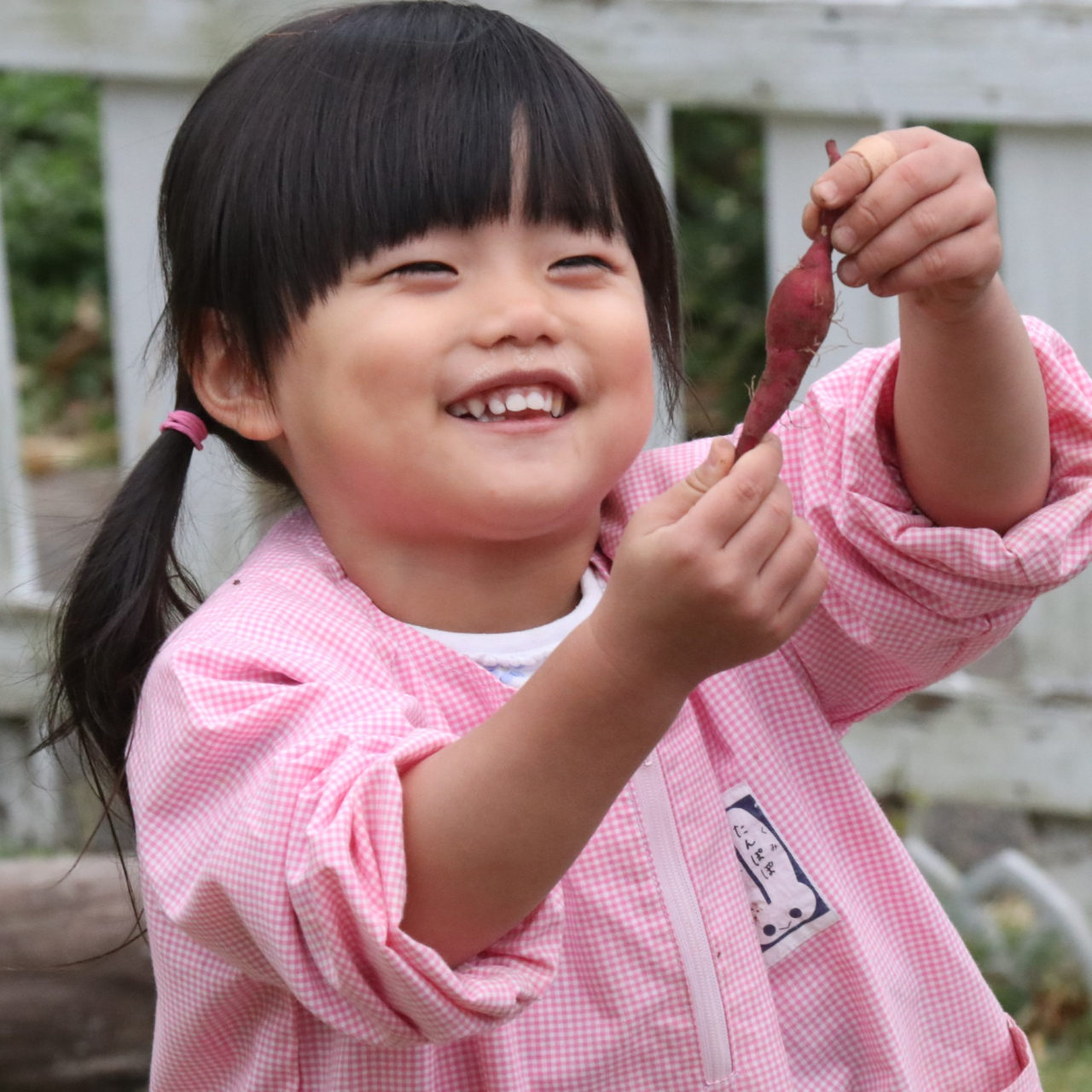 かもいようちえん